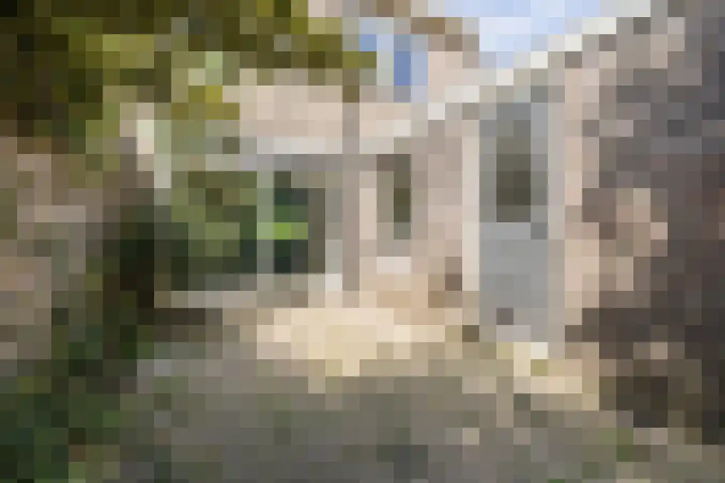 Toe Nansumpad 6 Zuidhorn thumbnail 45