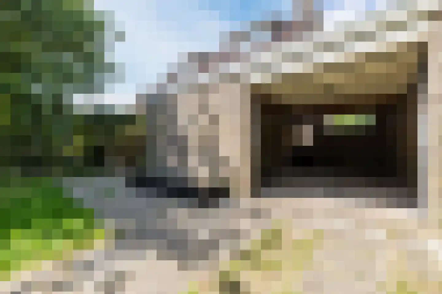 Toe Nansumpad 6 Zuidhorn thumbnail 49