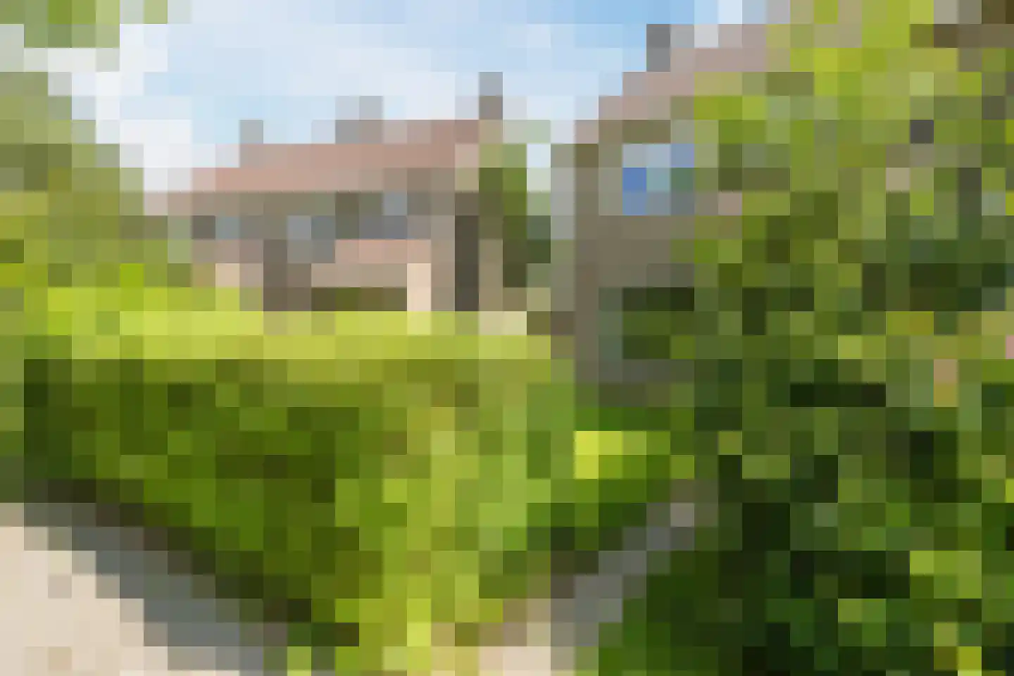 Toe Nansumpad 6 Zuidhorn thumbnail 5