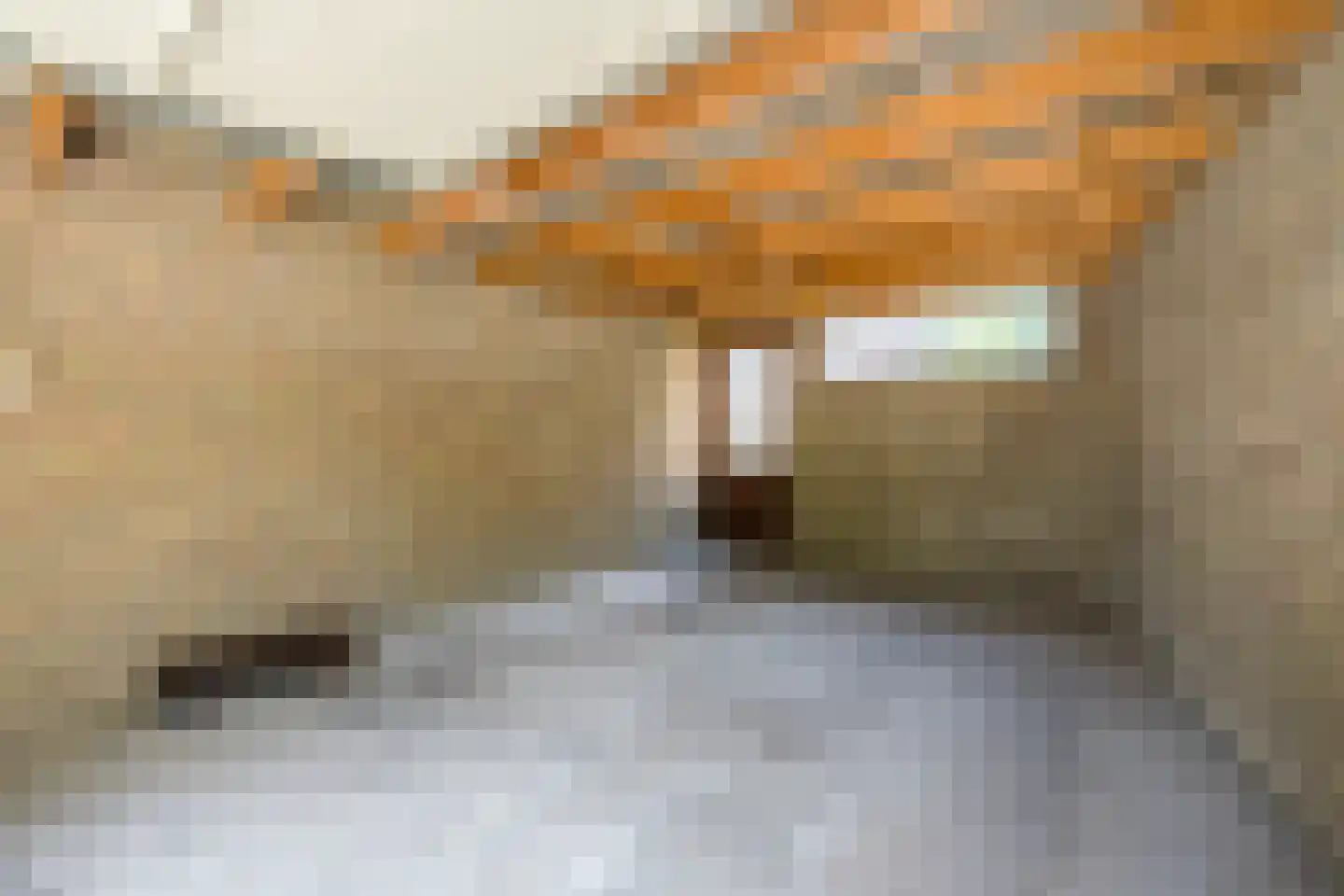 Toe Nansumpad 6 Zuidhorn thumbnail 50