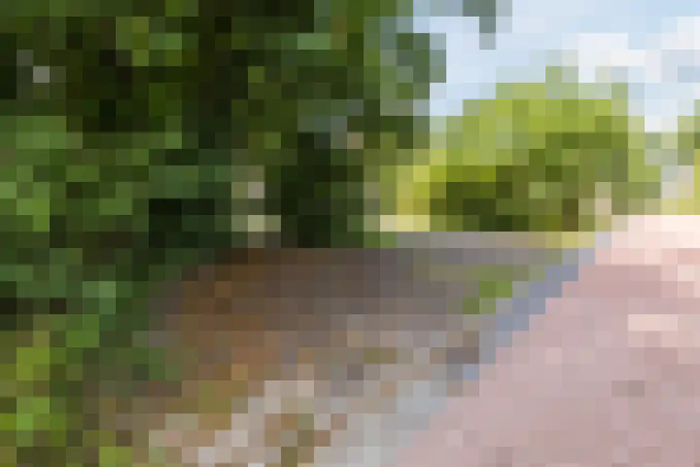Toe Nansumpad 6 Zuidhorn thumbnail 53