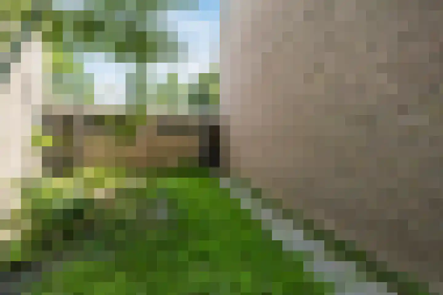 Toe Nansumpad 6 Zuidhorn thumbnail 54