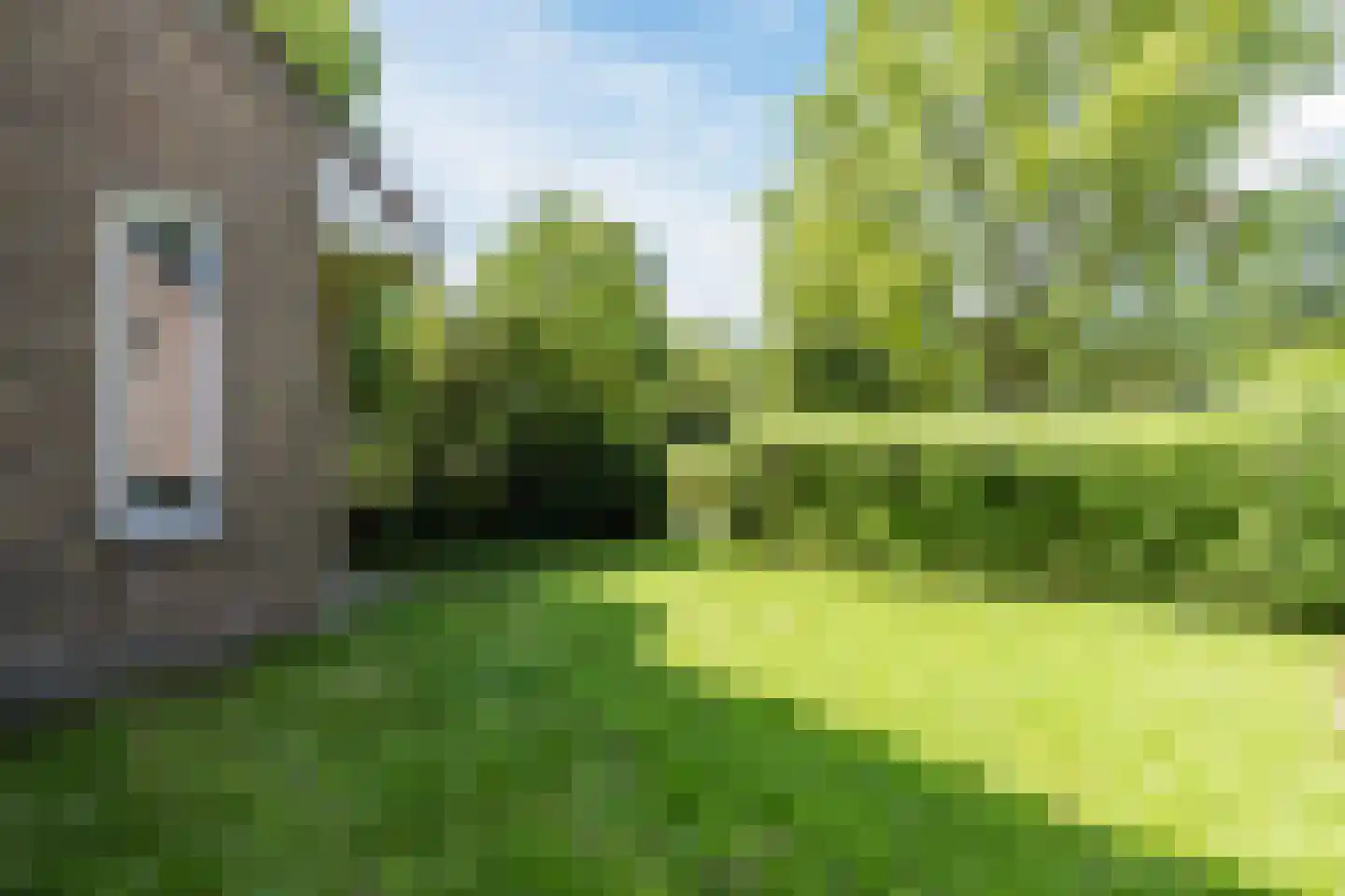 Toe Nansumpad 6 Zuidhorn thumbnail 55