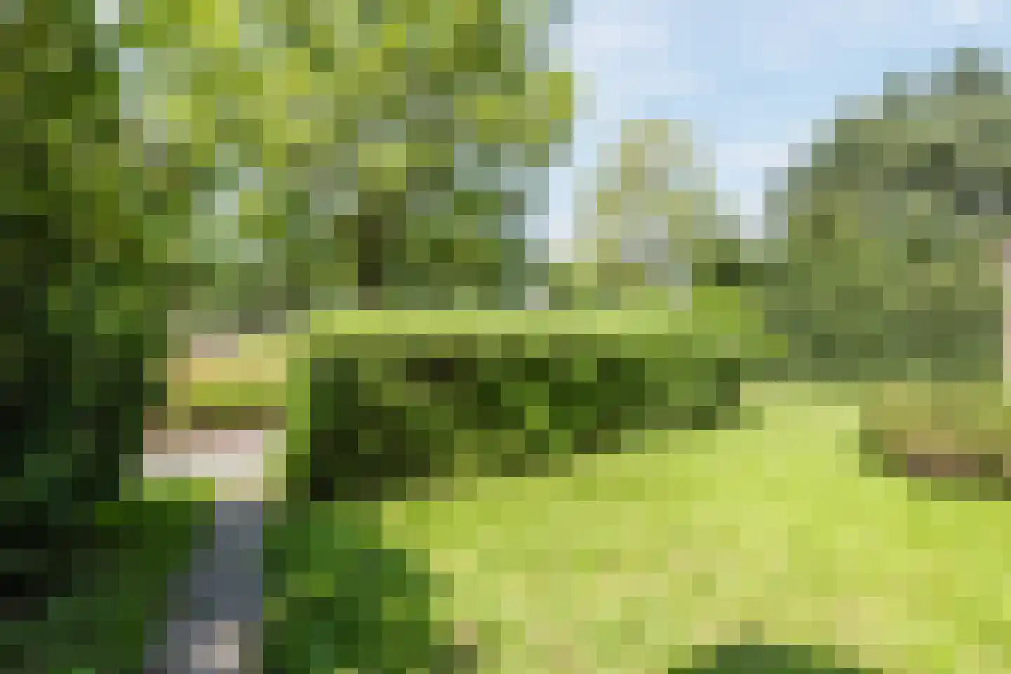 Toe Nansumpad 6 Zuidhorn thumbnail 56
