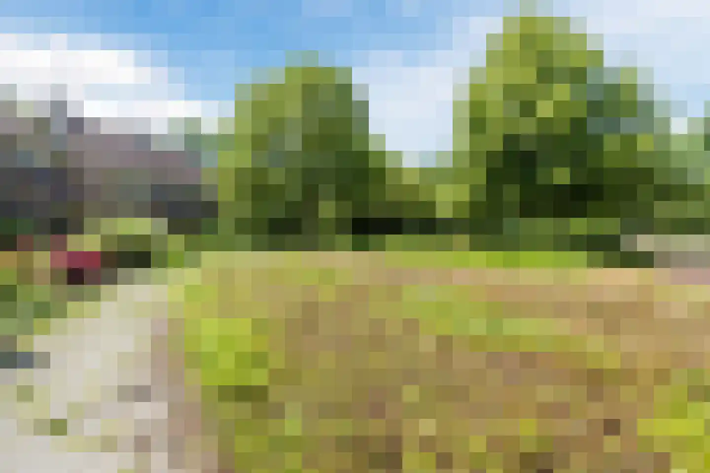 Toe Nansumpad 6 Zuidhorn thumbnail 57