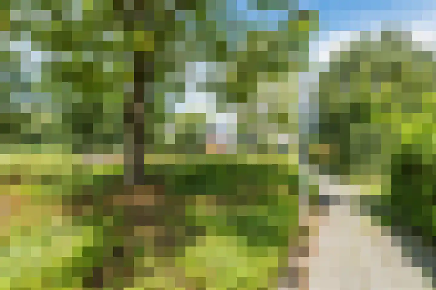 Toe Nansumpad 6 Zuidhorn thumbnail 58
