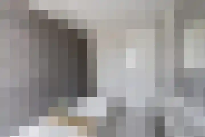 Toebesbrink 38 Winterswijk Meddo thumbnail 32