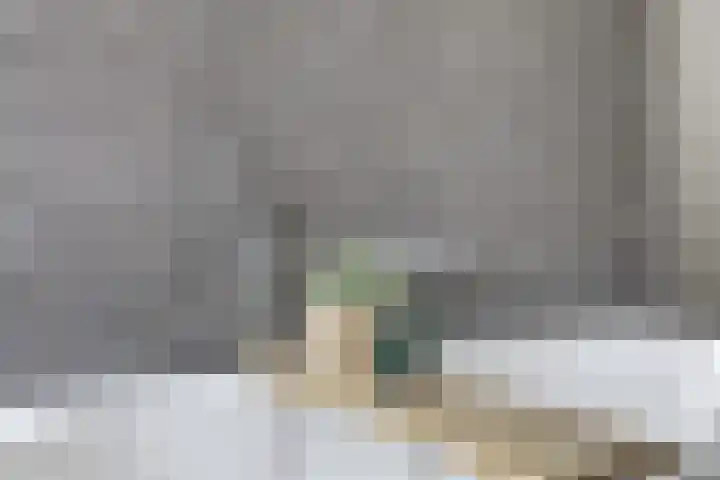 Toebesbrink 38 Winterswijk Meddo thumbnail 34