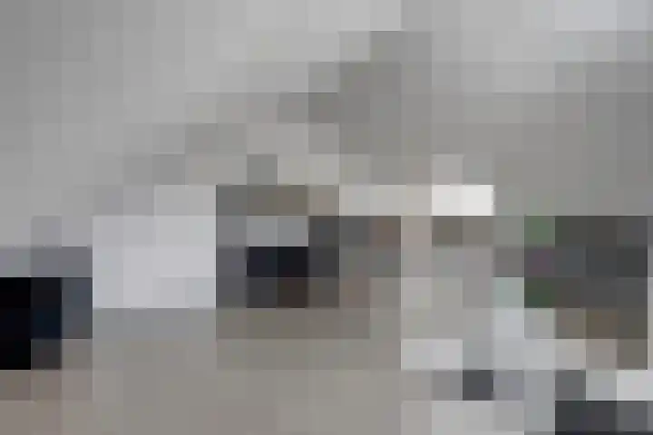 Toebesbrink 38 Winterswijk Meddo thumbnail 37
