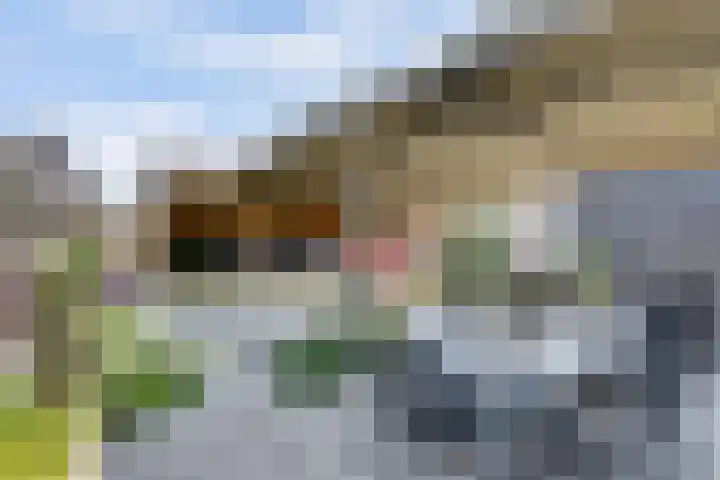 Toebesbrink 38 Winterswijk Meddo thumbnail 38