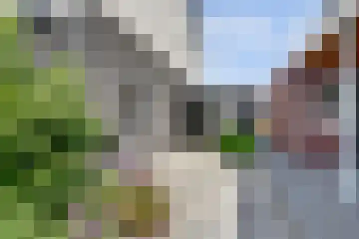 Toebesbrink 38 Winterswijk Meddo thumbnail 7