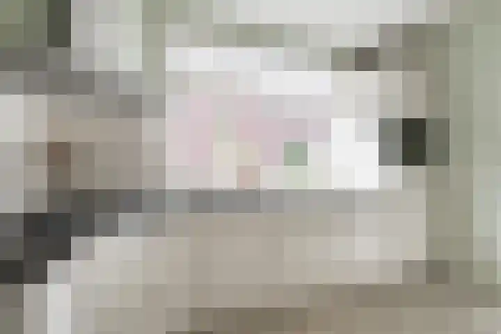 Toebeshof 1 Harreveld thumbnail 12