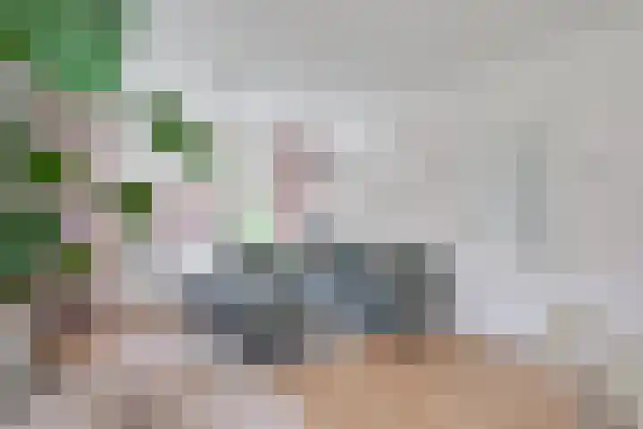 Toebeshof 1 Harreveld thumbnail 21