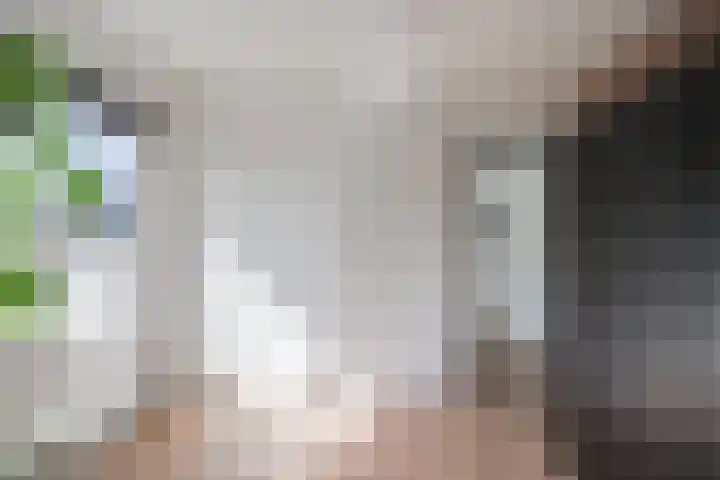 Toebeshof 1 Harreveld thumbnail 26