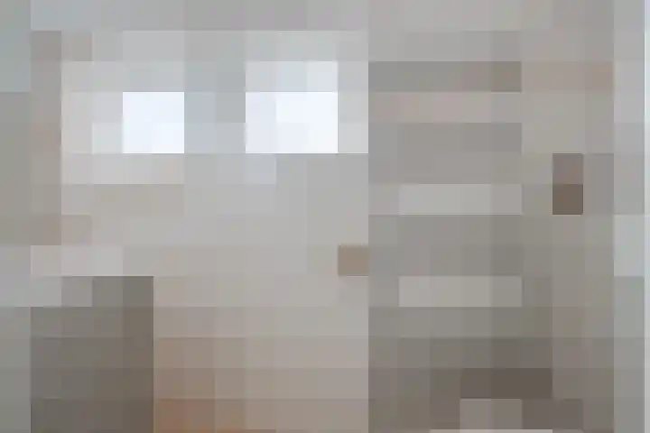 Toebeshof 1 Harreveld thumbnail 28