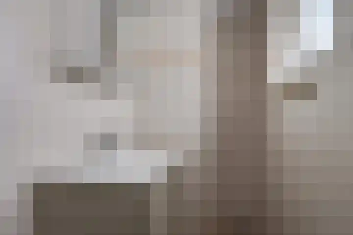 Toebeshof 1 Harreveld thumbnail 29