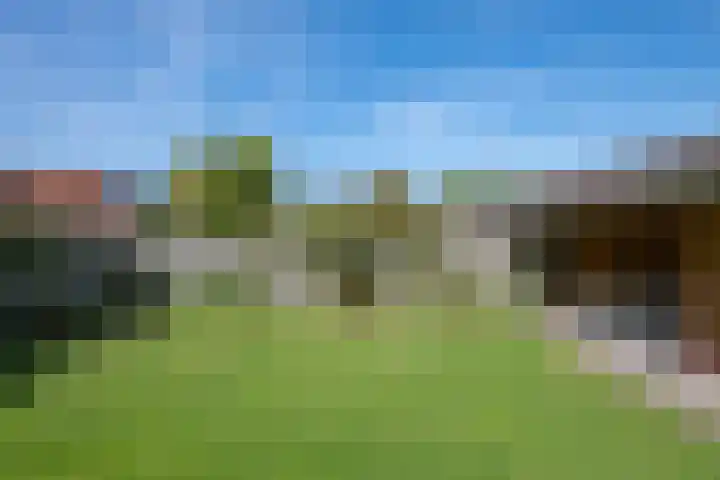 Toebeshof 1 Harreveld thumbnail 37