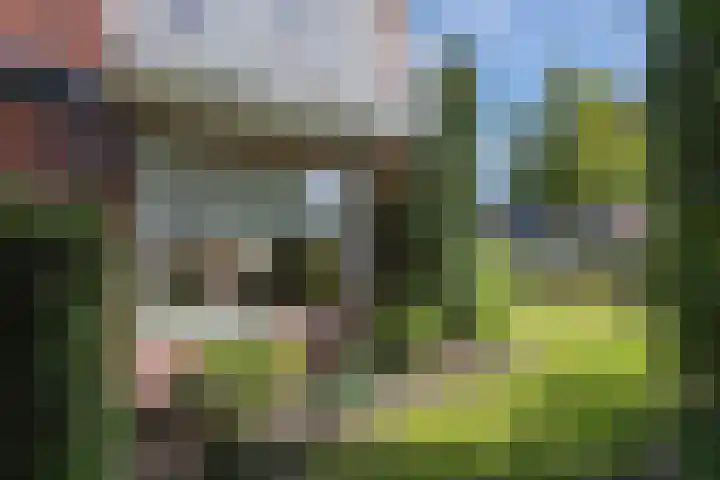 Toebeshof 1 Harreveld thumbnail 38