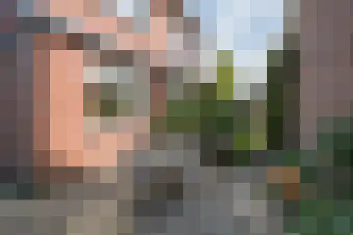 Toebeshof 1 Harreveld thumbnail 42