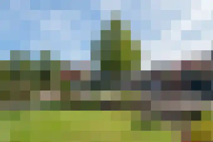 Toebeshof 1 Harreveld thumbnail 45