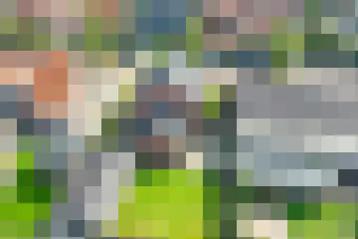 Toebeshof 1 Harreveld thumbnail 46