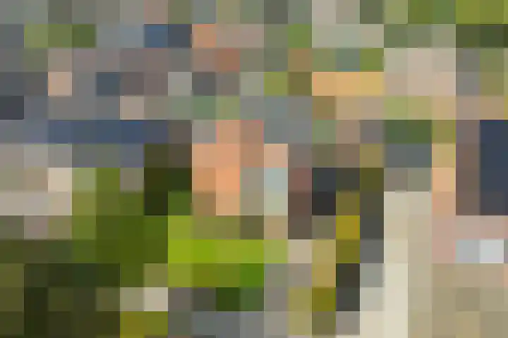 Toebeshof 1 Harreveld thumbnail 6