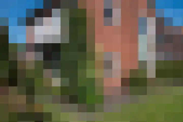 Toebeshof 1 Harreveld thumbnail 8