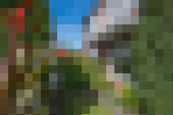 Toebeshof 1 Harreveld thumbnail 9
