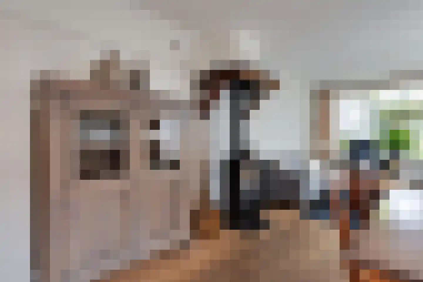 Toebeshof 10 Harreveld thumbnail 13