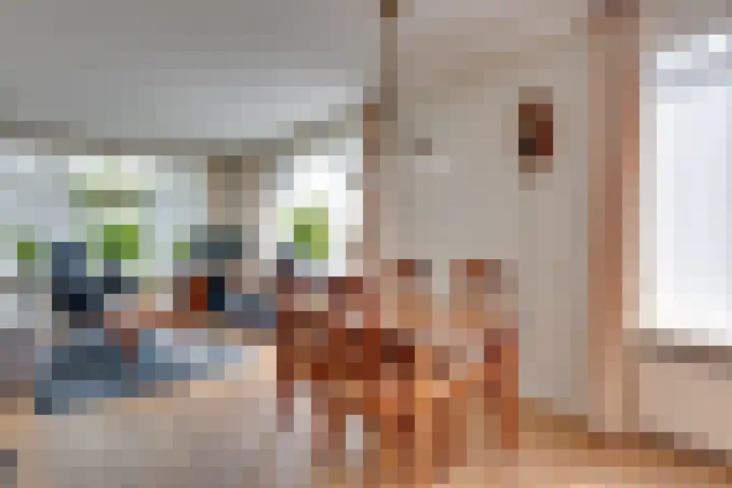 Toebeshof 10 Harreveld thumbnail 14