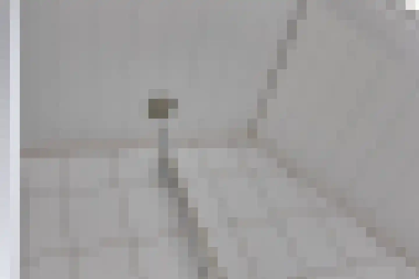 Toebeshof 10 Harreveld thumbnail 34