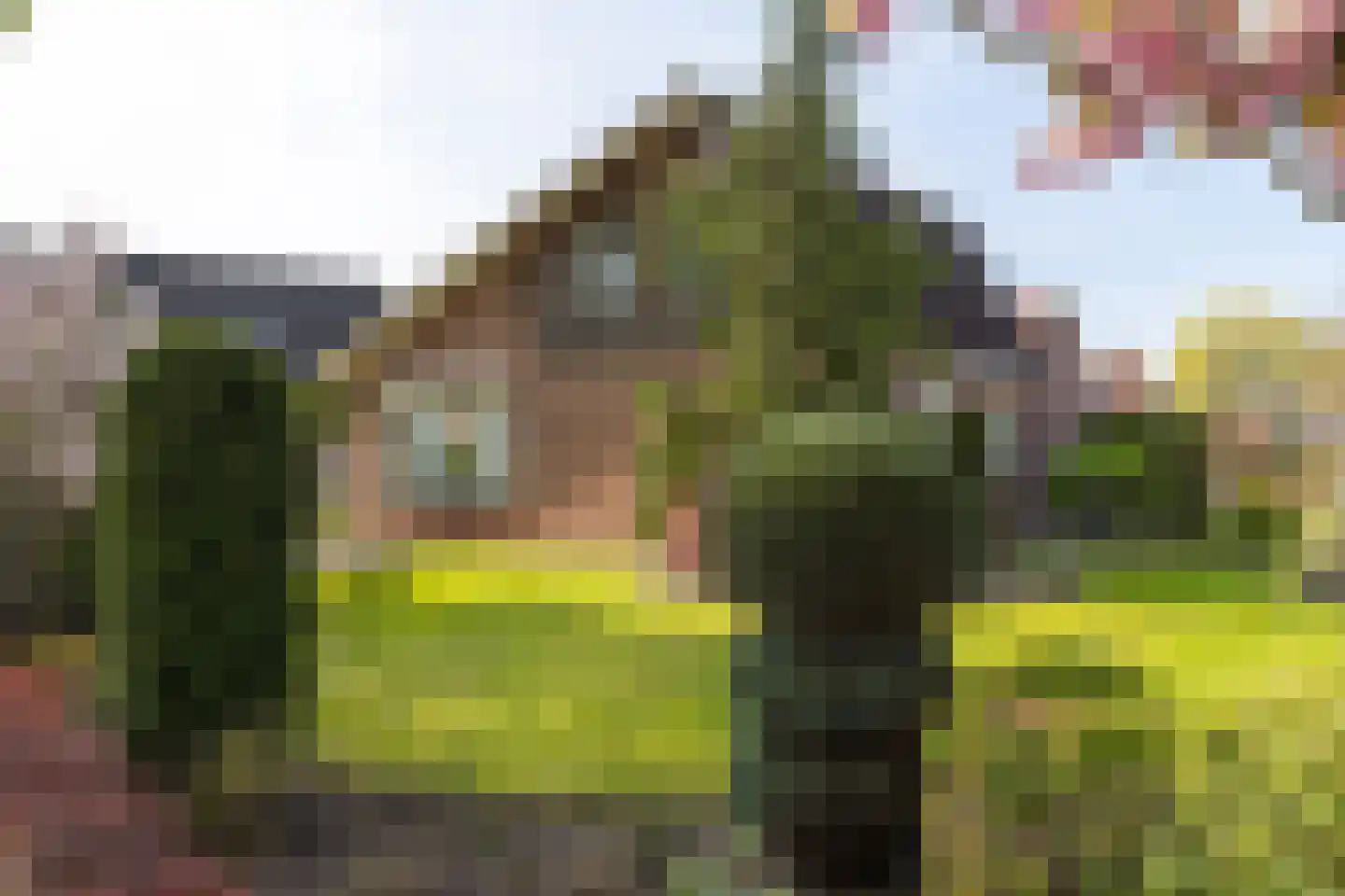 Toebeshof 10 Harreveld thumbnail 36