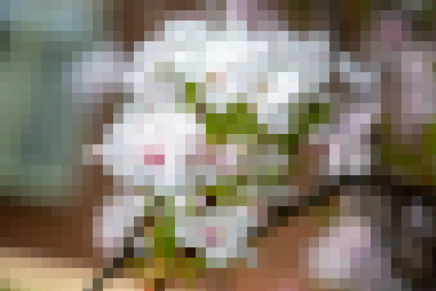Toebeshof 10 Harreveld thumbnail 37