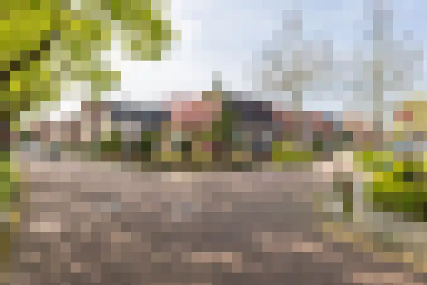 Toebeshof 10 Harreveld thumbnail 49