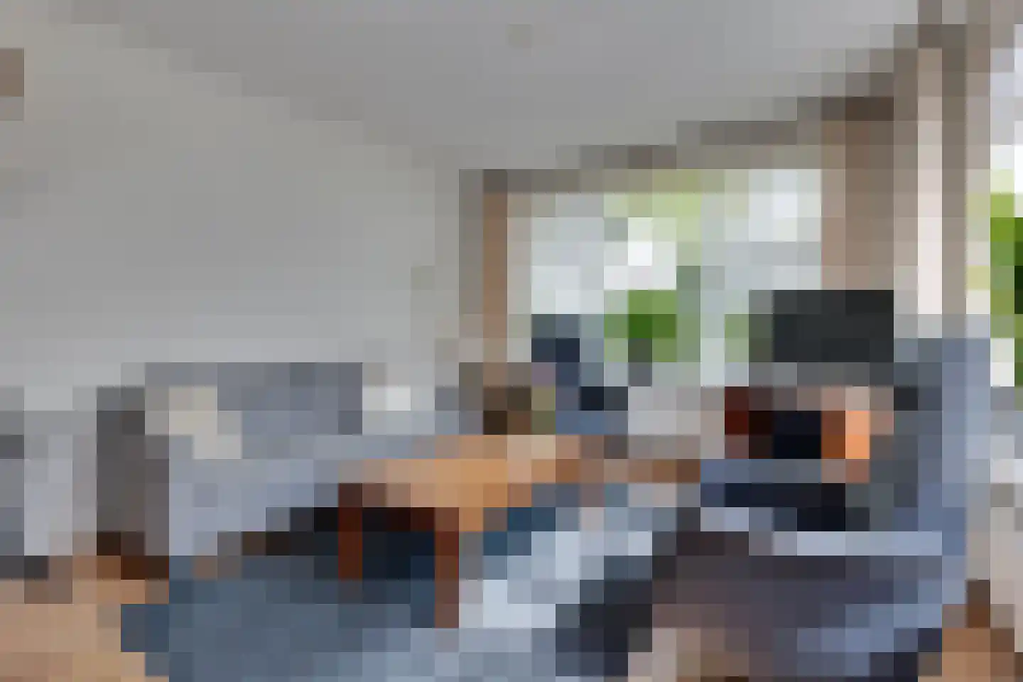 Toebeshof 10 Harreveld thumbnail 9