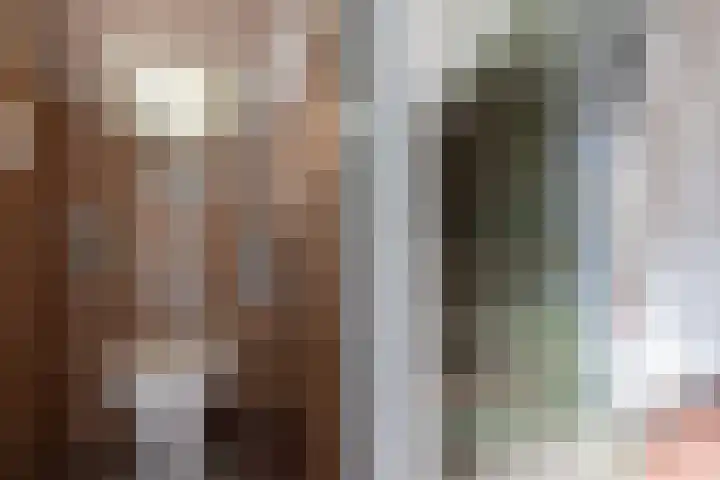Toebeshof 7 Harreveld thumbnail 12
