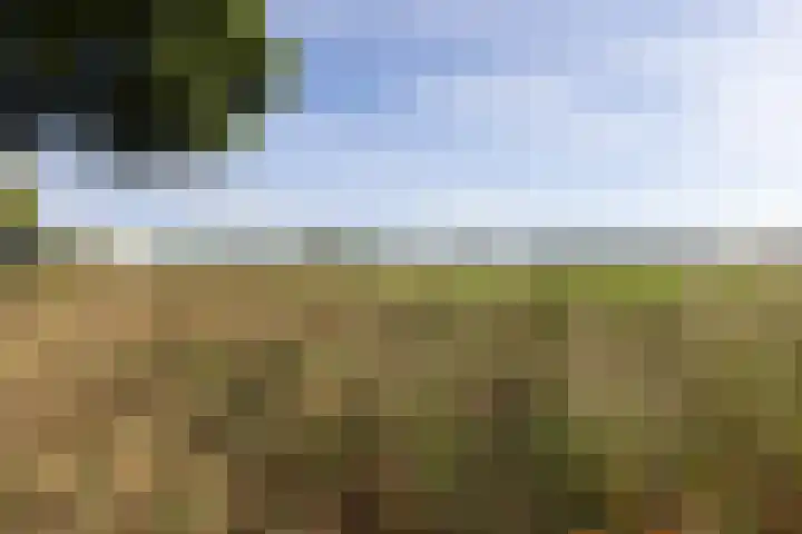 Toebeshof 7 Harreveld thumbnail 27