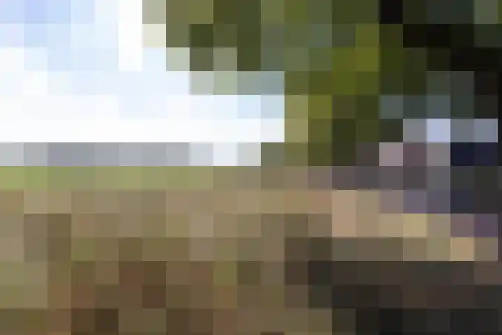 Toebeshof 7 Harreveld thumbnail 28