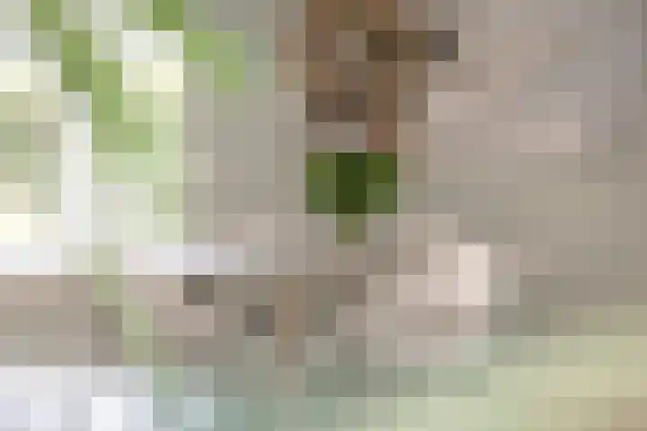Toefmars 3 Diepenveen thumbnail 13