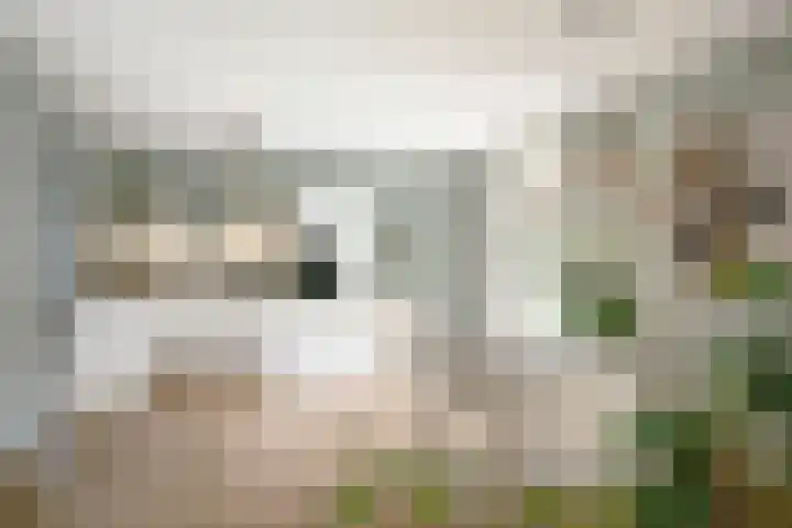 Toefmars 3 Diepenveen thumbnail 19
