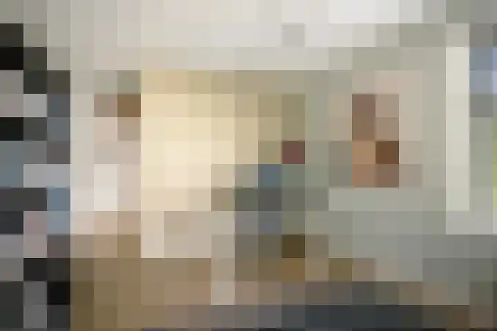 Toefmars 3 Diepenveen thumbnail 25