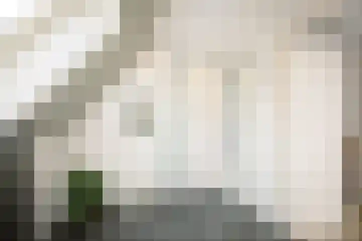 Toefmars 3 Diepenveen thumbnail 34