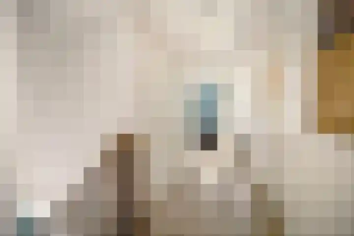 Toefmars 3 Diepenveen thumbnail 37