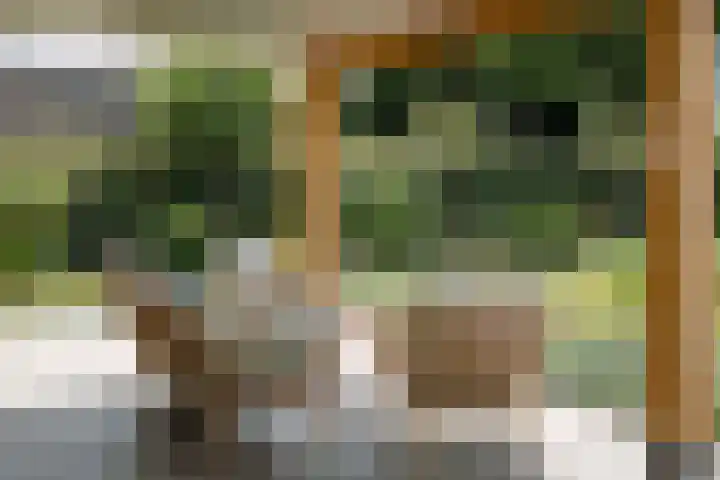 Toefmars 3 Diepenveen thumbnail 44