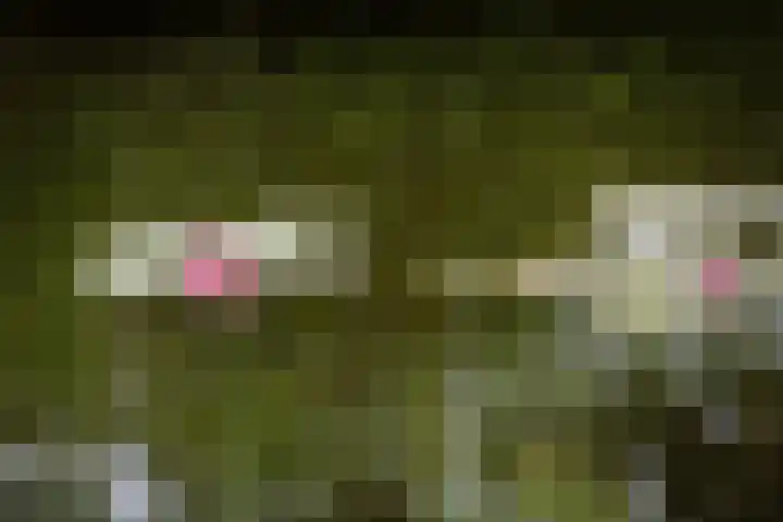 Toefmars 3 Diepenveen thumbnail 45