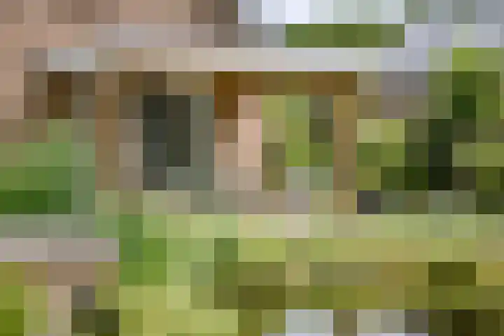 Toefmars 3 Diepenveen thumbnail 46