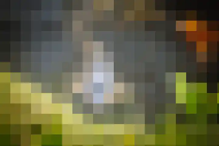 Toefmars 3 Diepenveen thumbnail 49