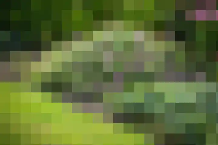 Toefmars 3 Diepenveen thumbnail 50