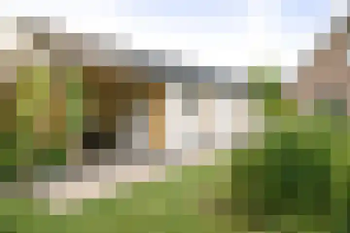 Toefmars 3 Diepenveen thumbnail 51