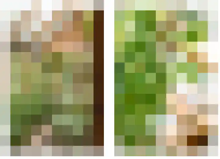 Toefmars 3 Diepenveen thumbnail 52